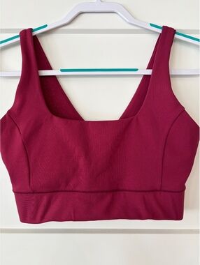 IVL Collective Shimmer Sports Bra — Burgundy, Size 12
